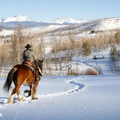 winter-riding-hero-solitary-cowboy