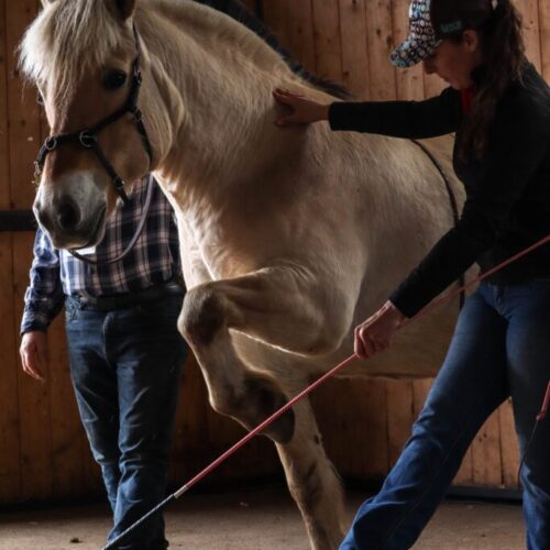 494463412_10165076662863294_2295012015069271129_n