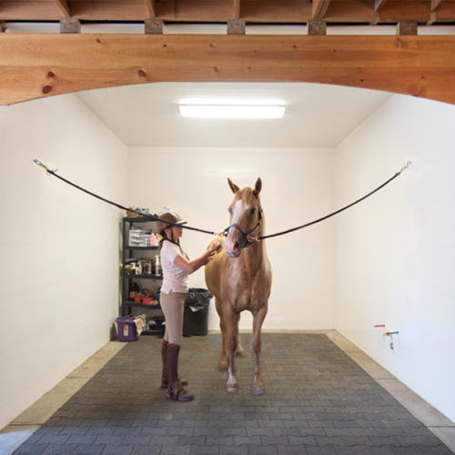 Horse-on-the-cross-ties-in-the-grooming-area