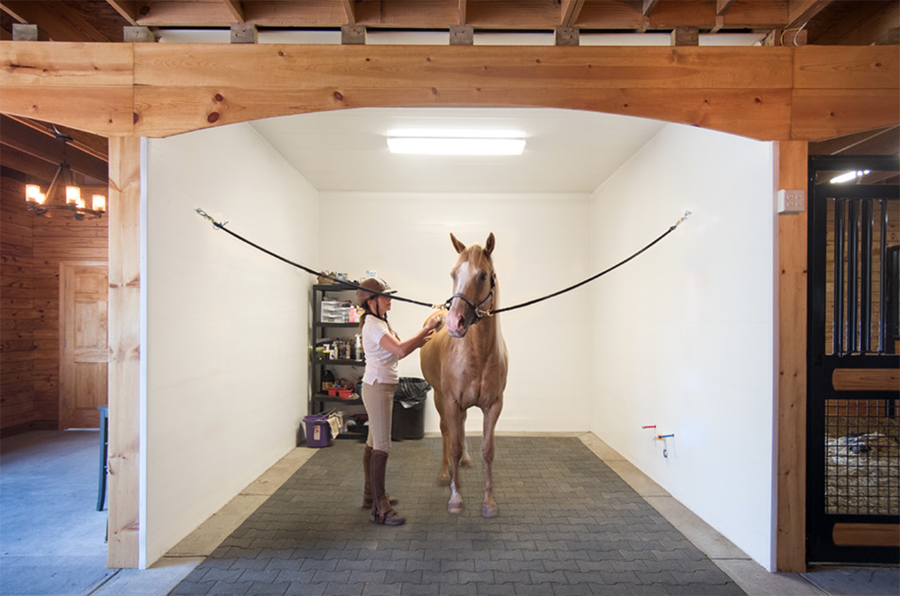 Horse-on-the-cross-ties-in-the-grooming-area