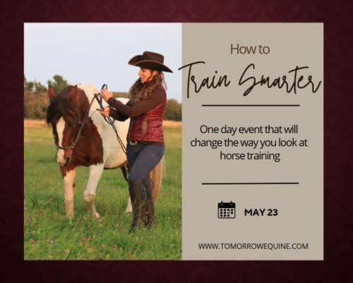May 23 workshop how to train smarter