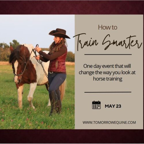 May 23 workshop how to train smarter