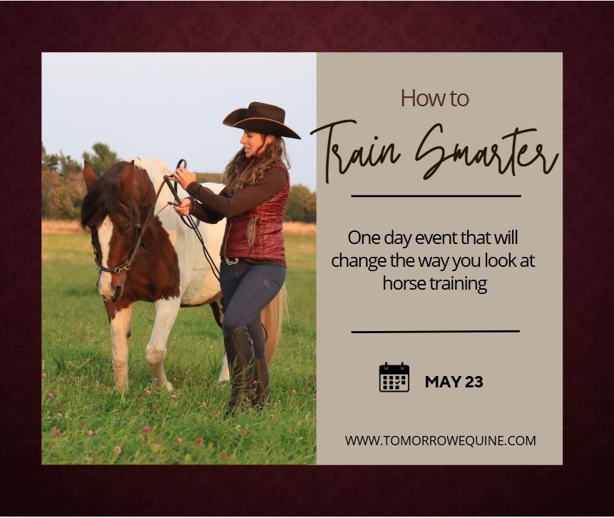May 23 workshop how to train smarter