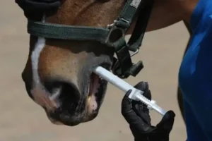 Worming2-920x518-1-768x432