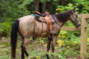 dac65dc1-3ce6-4cdb-a45d-929513abe984-123248412_761614211083939_2951428455764036365_n